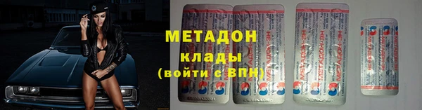 шишки Новозыбков