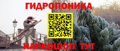 спиды Гагарин