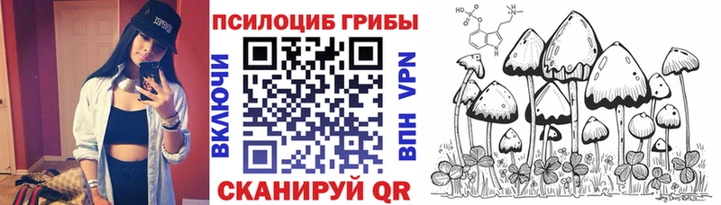 хочу наркоту  Кимры  Псилоцибиновые грибы мухоморы 