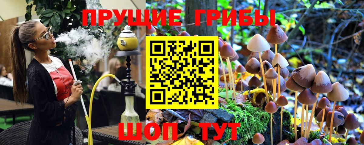 Псилоцибиновые грибы ЛСД Кимры