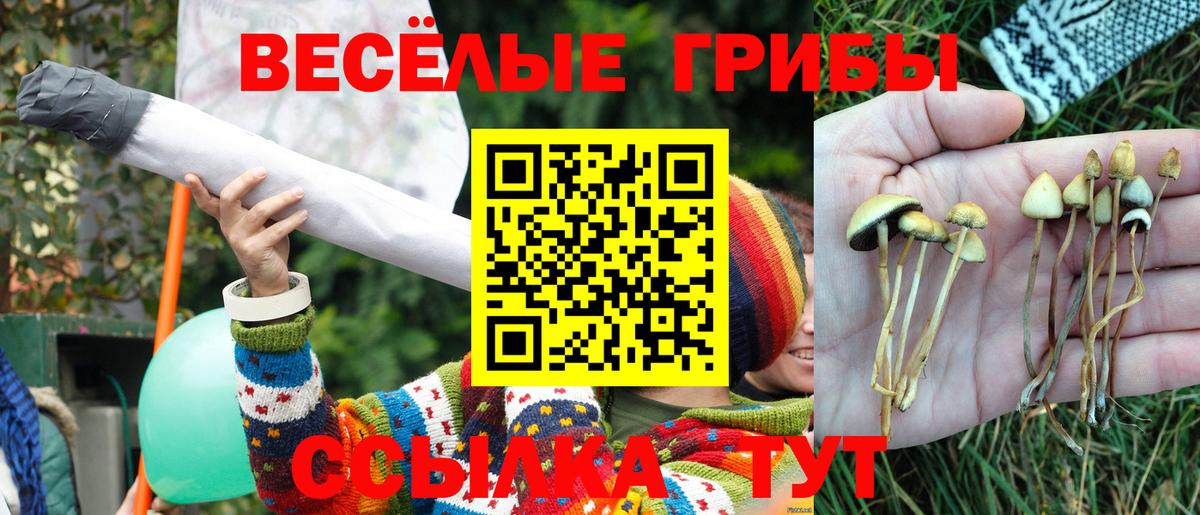 Галлюциногенные грибы MAGIC MUSHROOMS  Галлюциногенные грибы MAGIC MUSHROOMS  Кимры  Вход с VPN 