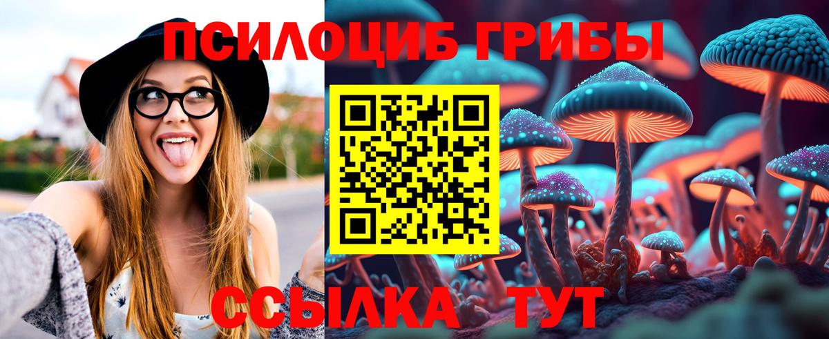 Галлюциногенные грибы Psilocybine cubensis Кимры