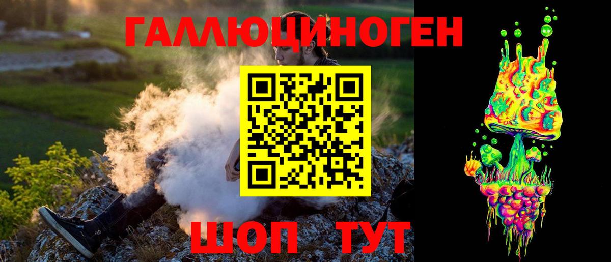 магазин продажи наркотиков  Кимры  Галлюциногенные грибы GOLDEN TEACHER 