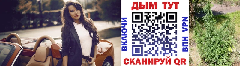 Бошки марихуана гибрид Кимры